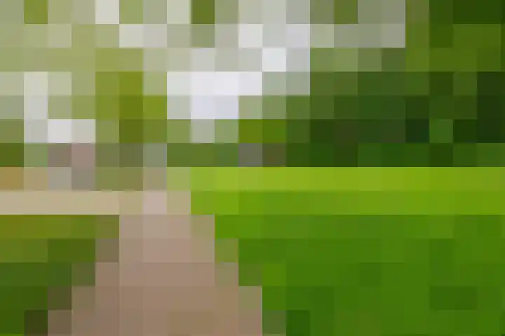 Dabbestraat 24 Oude-Tonge thumbnail 39