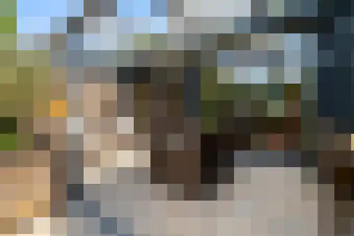 Daccastraat 9 IJsselstein thumbnail 9