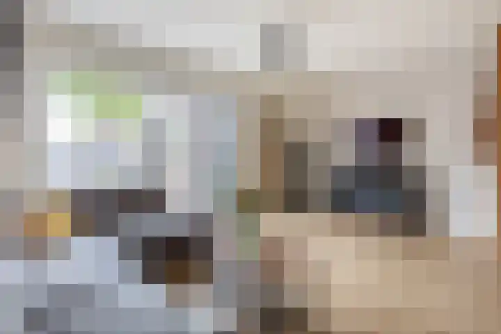 Dadelgaarde 10 Zoetermeer thumbnail 11
