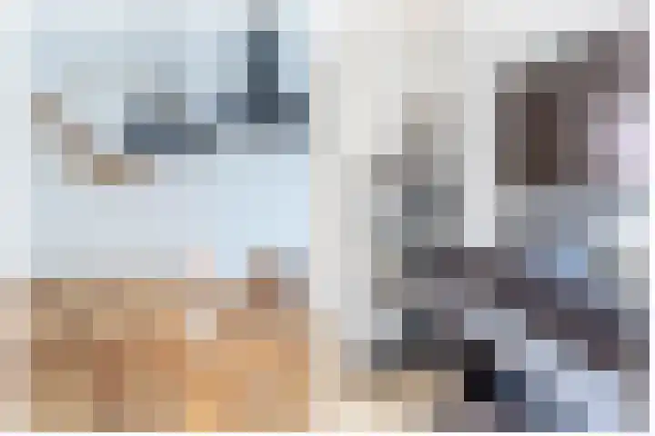 Dadelgaarde 10 Zoetermeer thumbnail 14