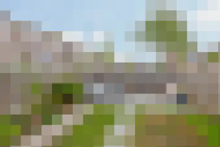 Dadelgaarde 10 Zoetermeer thumbnail 18
