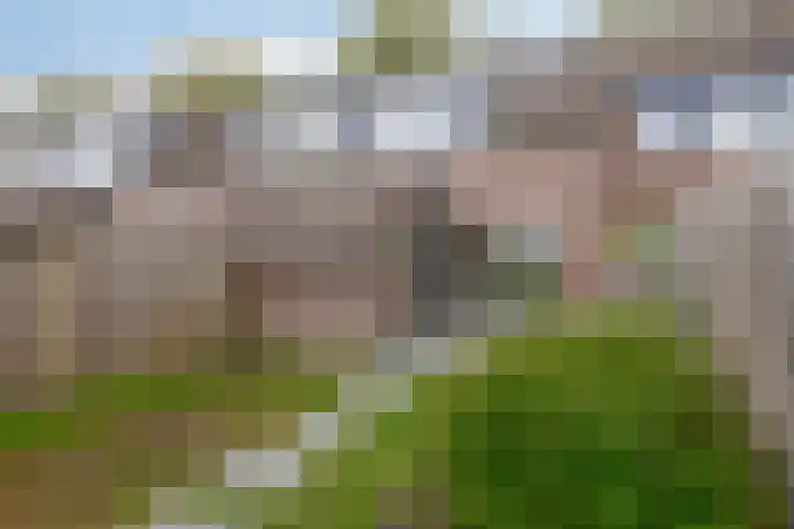 Dadelgaarde 10 Zoetermeer thumbnail 19