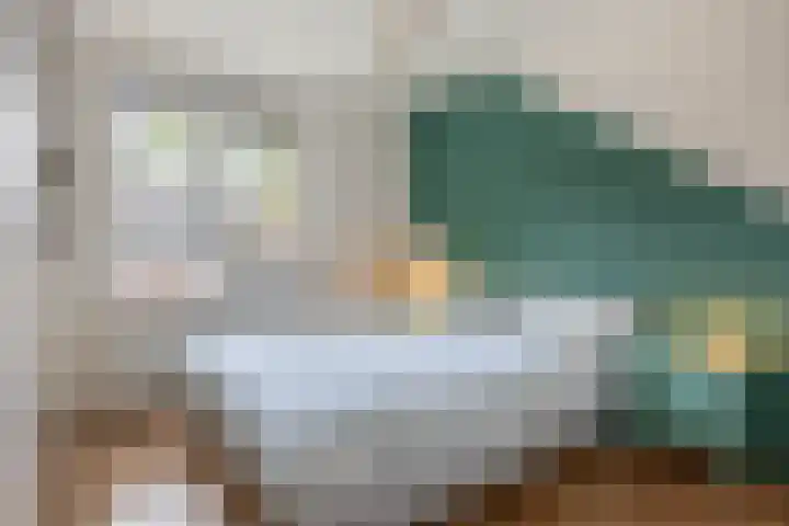 Dadelgaarde 10 Zoetermeer thumbnail 23