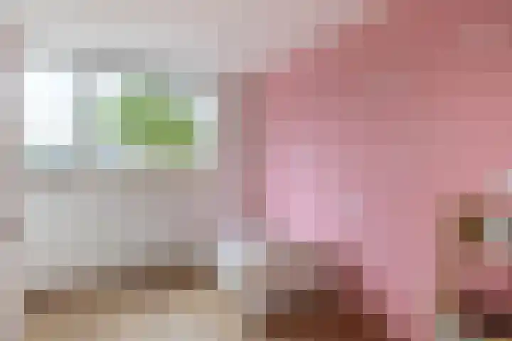 Dadelgaarde 10 Zoetermeer thumbnail 28