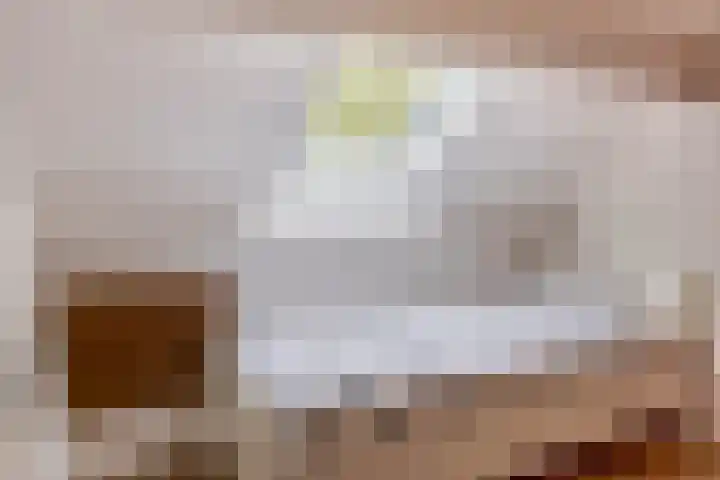 Dadelgaarde 10 Zoetermeer thumbnail 31
