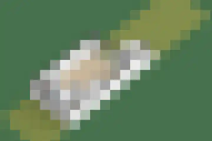 Dadelgaarde 10 Zoetermeer thumbnail 35