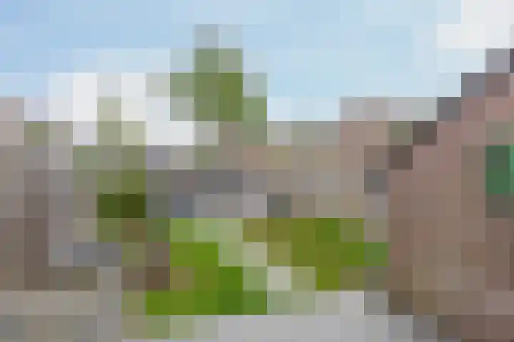 Dadelgaarde 10 Zoetermeer thumbnail 5