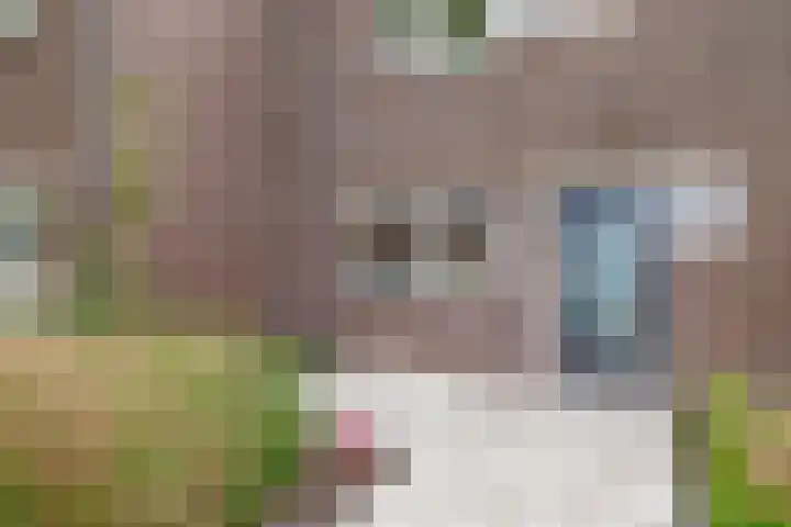 Dadelgaarde 10 Zoetermeer thumbnail 8