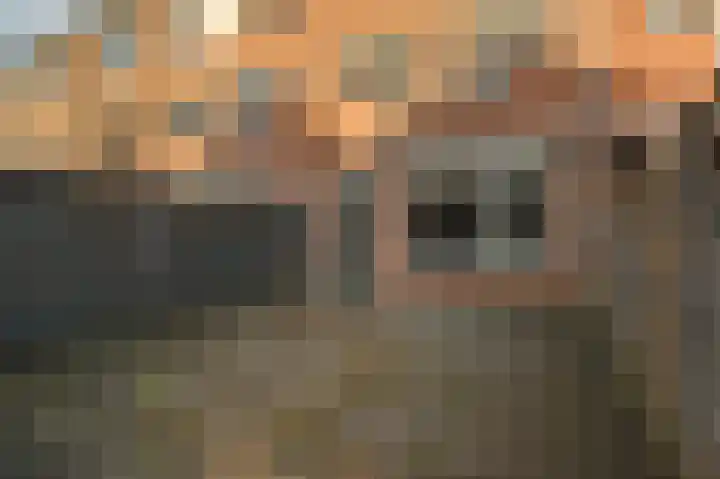 Dadelgaarde 57 Zoetermeer thumbnail 14