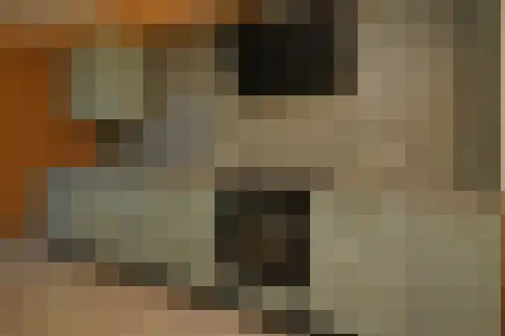 Dadelgaarde 57 Zoetermeer thumbnail 17