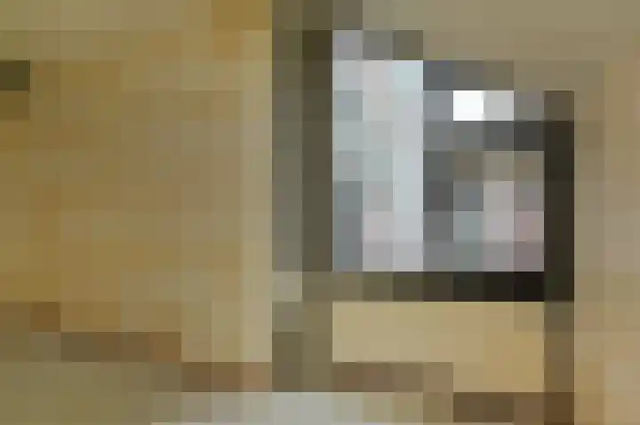 Dadelgaarde 57 Zoetermeer thumbnail 34