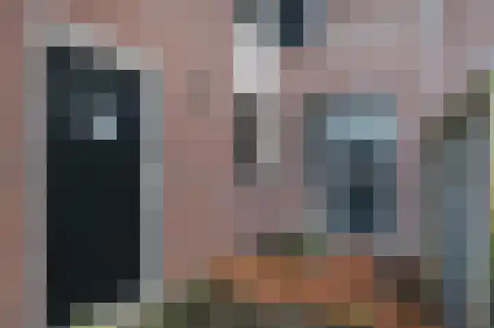 Dadelgaarde 57 Zoetermeer thumbnail 4