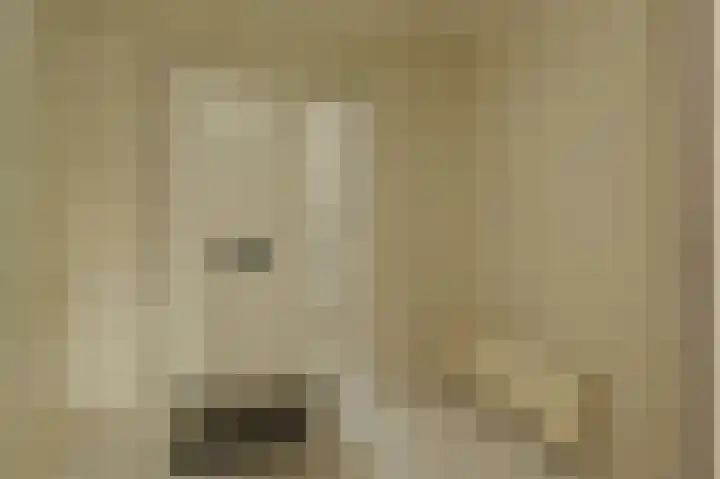 Dadelgaarde 57 Zoetermeer thumbnail 5