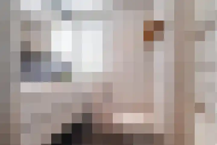 Daendelsstraat 16 Tilburg thumbnail 28