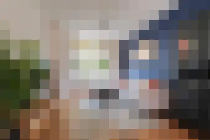Daendelsstraat 16 Tilburg thumbnail 4