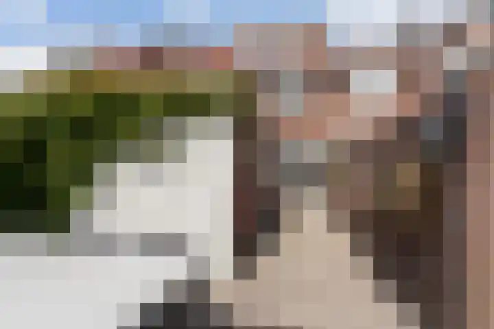 Daendelsstraat 16 Tilburg thumbnail 47