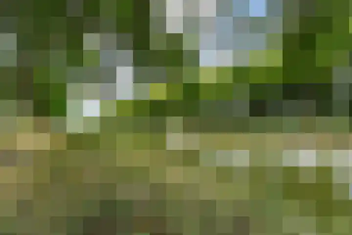 Daendelsstraat 16 Tilburg thumbnail 51