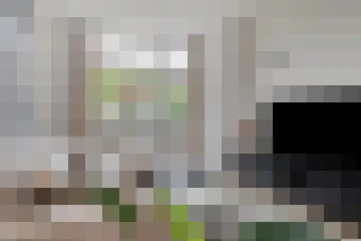 Daendelsstraat 18 Tilburg thumbnail 11