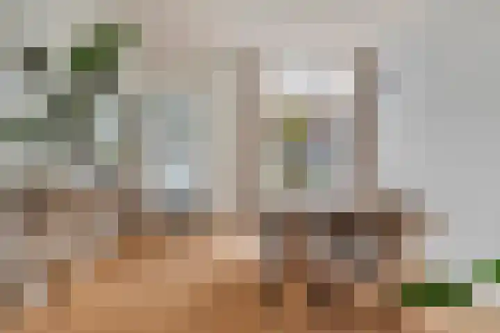 Daendelsstraat 18 Tilburg thumbnail 13