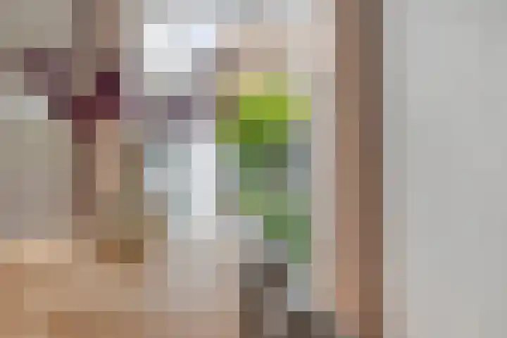 Daendelsstraat 18 Tilburg thumbnail 15