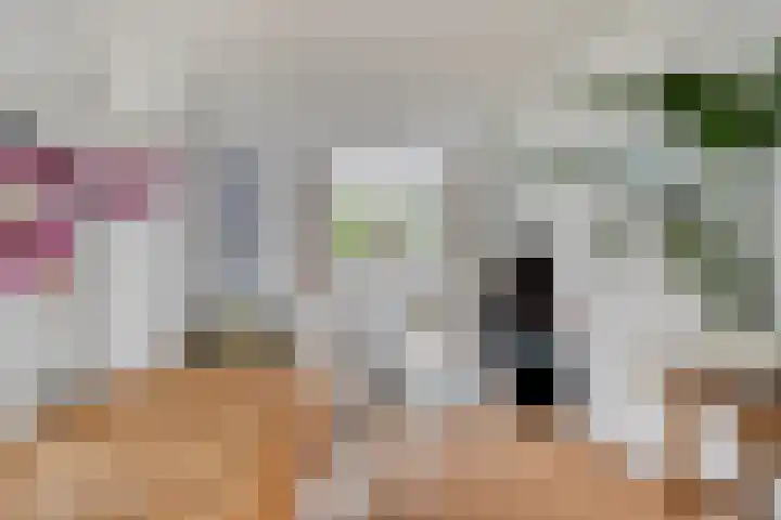 Daendelsstraat 18 Tilburg thumbnail 17