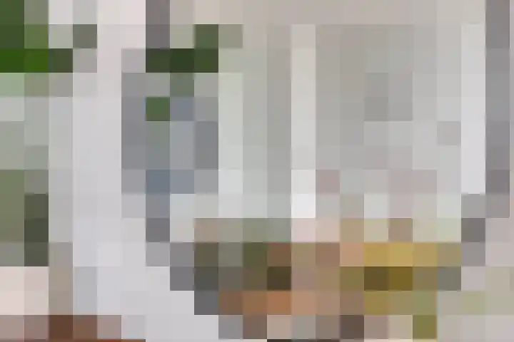 Daendelsstraat 18 Tilburg thumbnail 18