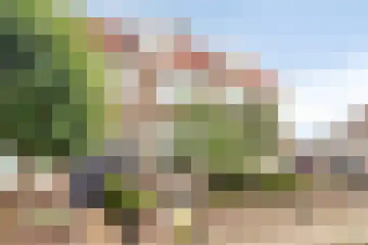 Daendelsstraat 18 Tilburg thumbnail 6