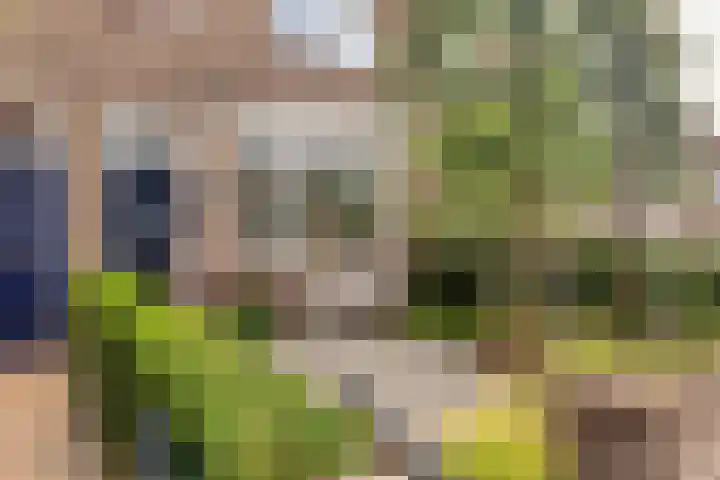 Daendelsstraat 18 Tilburg thumbnail 7