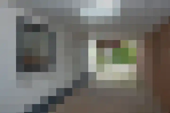Daendelsstraat 24 Enschede thumbnail 7