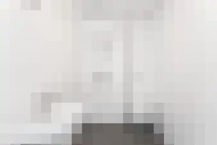 Daendelsstraat 33 Utrecht thumbnail 5
