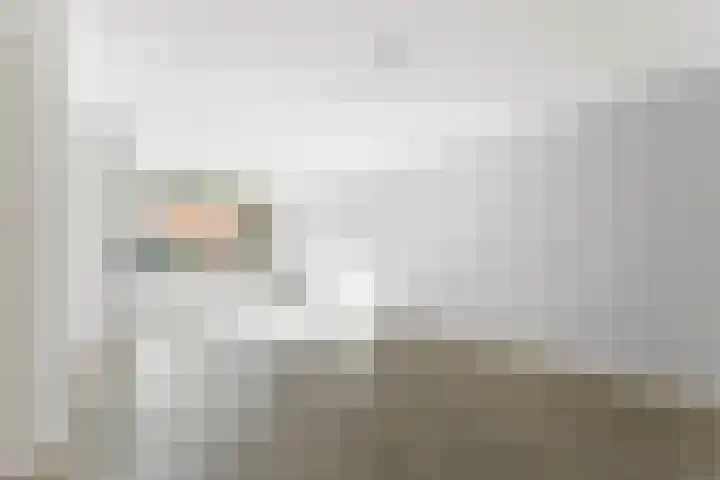 Daendelsstraat 33 Utrecht thumbnail 8