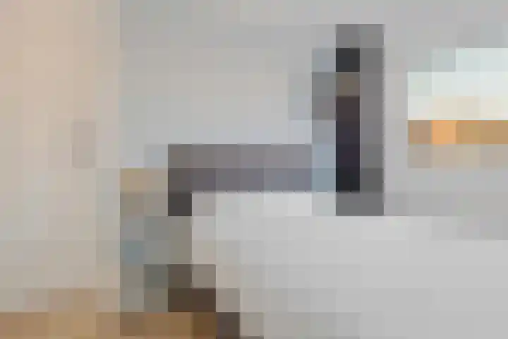 Daendelsstraat 35 Tilburg thumbnail 31