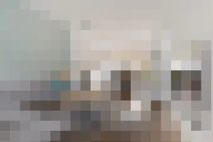 Daendelsstraat 35 Tilburg thumbnail 6