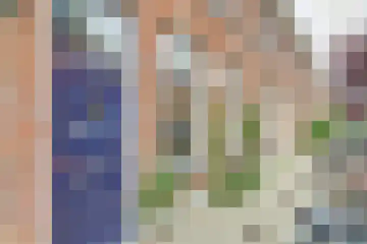 Daendelsstraat 49 Utrecht thumbnail 7