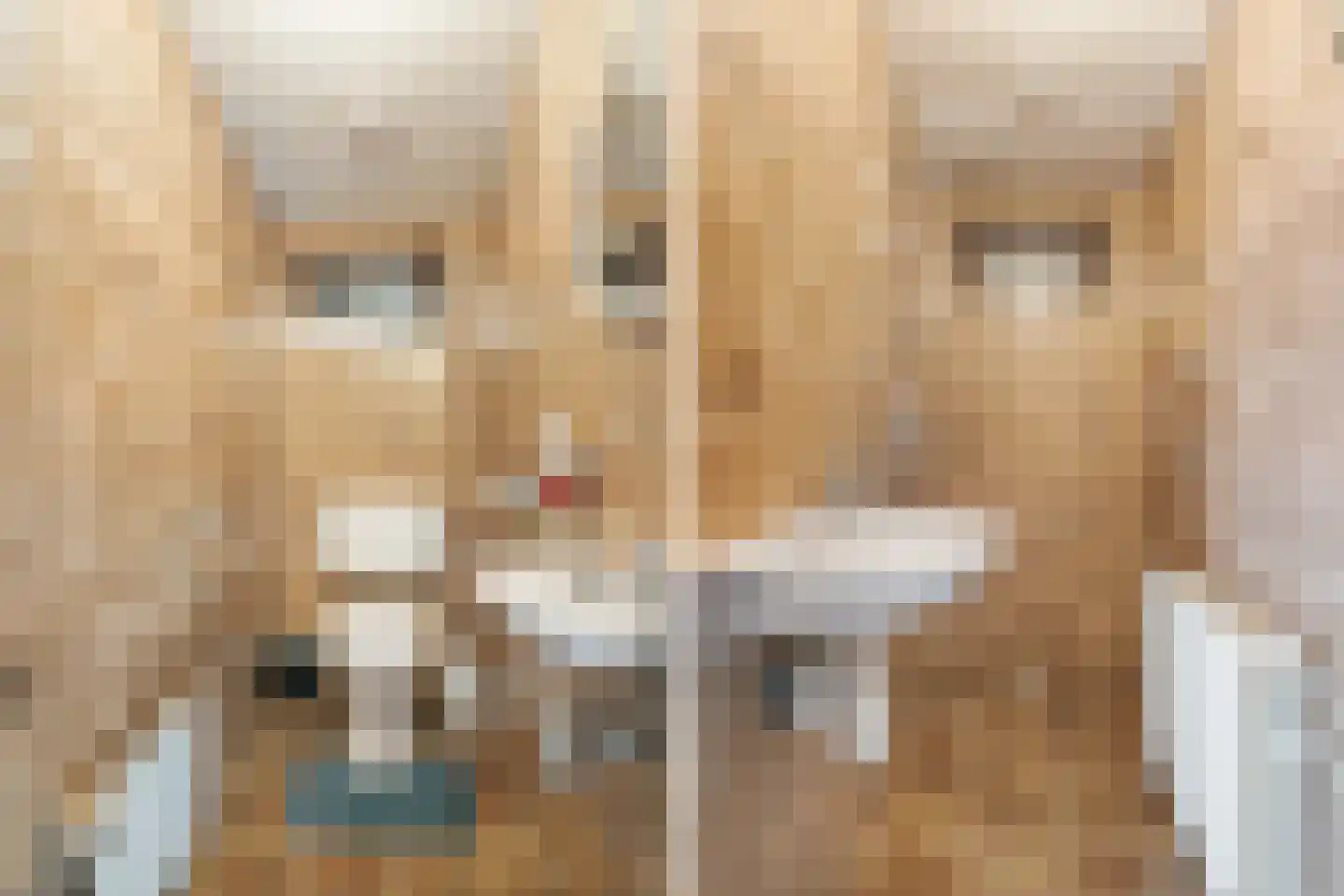 Daendelsstraat 53 Tilburg thumbnail 12