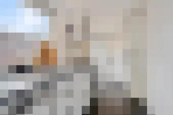 Daendelsstraat 54 Tilburg thumbnail 9