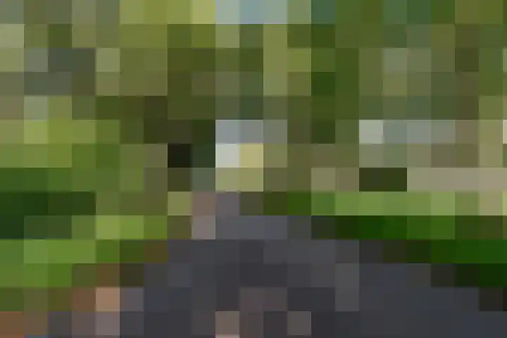 Dagobertstraat 3 Almere thumbnail 92
