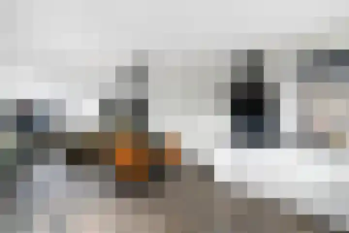 Dagpauwoog 22 Wolvega thumbnail 10