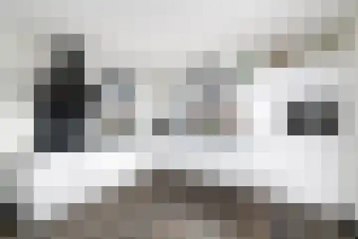 Dagpauwoog 22 Wolvega thumbnail 11