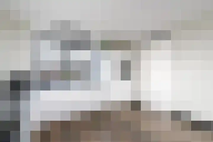 Dagpauwoog 22 Wolvega thumbnail 12