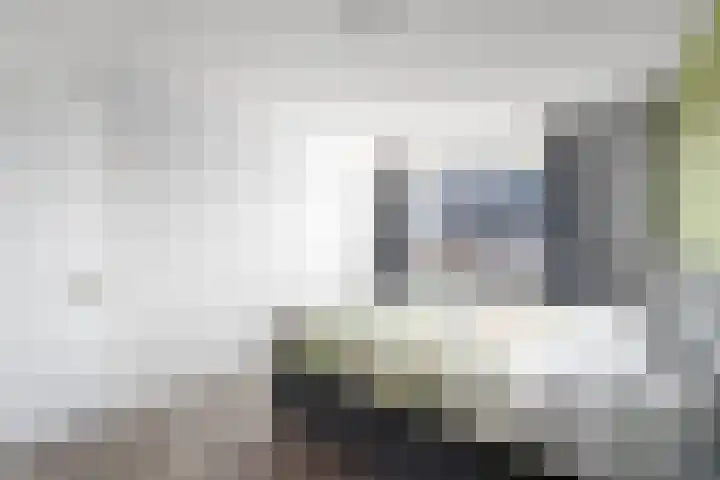 Dagpauwoog 22 Wolvega thumbnail 15