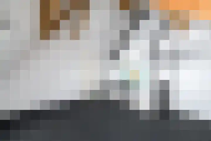 Dagpauwoog 22 Wolvega thumbnail 26