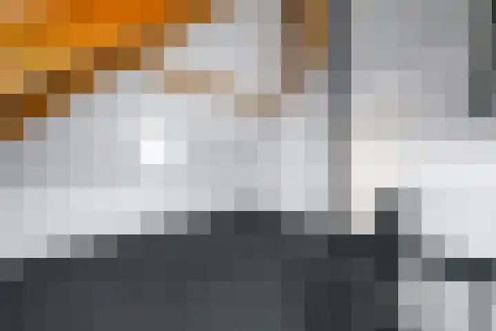 Dagpauwoog 22 Wolvega thumbnail 27