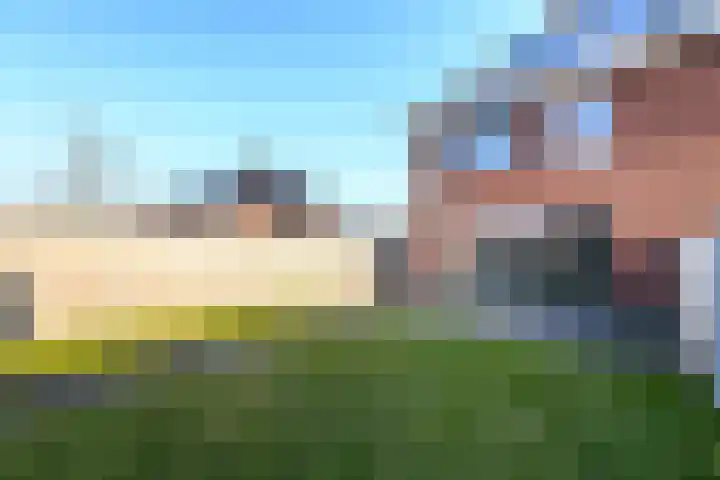 Dagpauwoog 22 Wolvega thumbnail 29