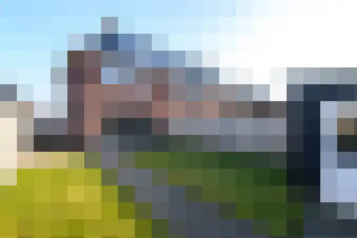 Dagpauwoog 22 Wolvega thumbnail 30