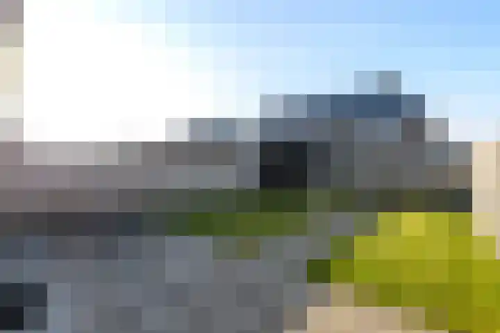 Dagpauwoog 22 Wolvega thumbnail 31