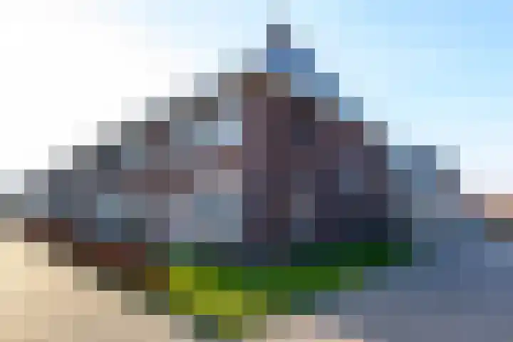 Dagpauwoog 22 Wolvega thumbnail 34