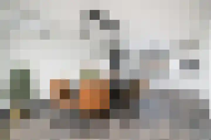 Dagpauwoog 22 Wolvega thumbnail 4