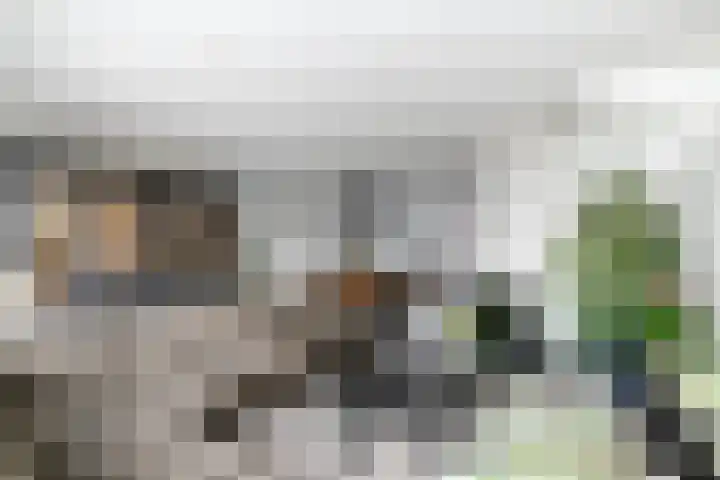 Dagpauwoog 22 Wolvega thumbnail 5