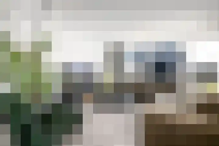 Dagpauwoog 22 Wolvega thumbnail 6